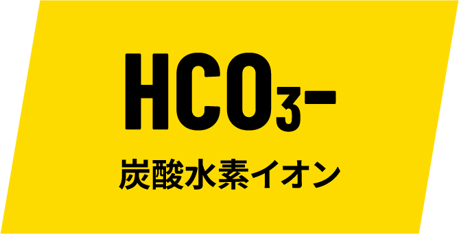 HC03- 炭酸水素イオン